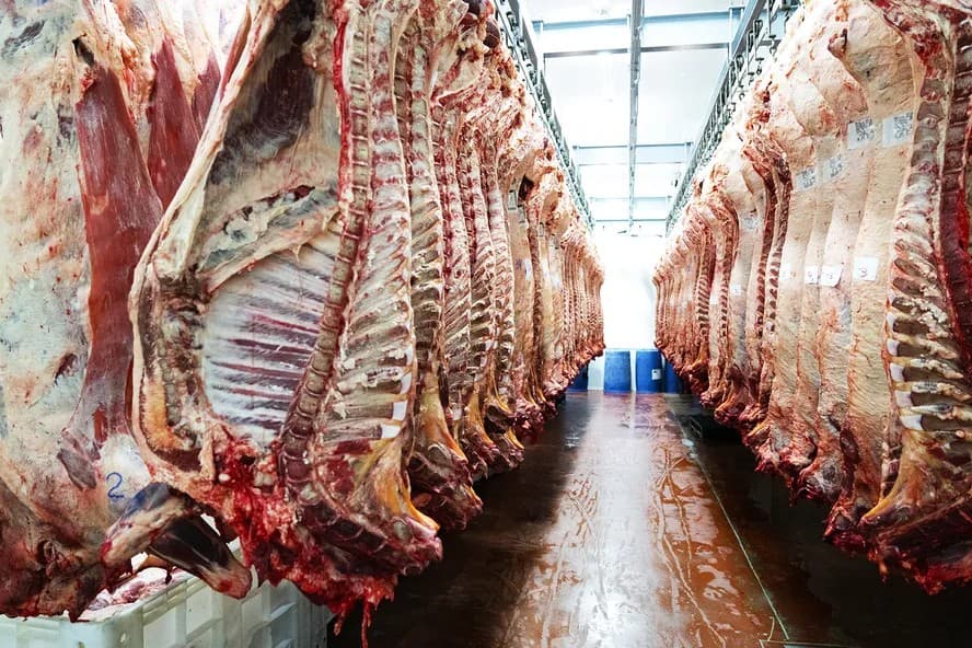 Quais países são os maiores exportadores de carne bovina do mundo?