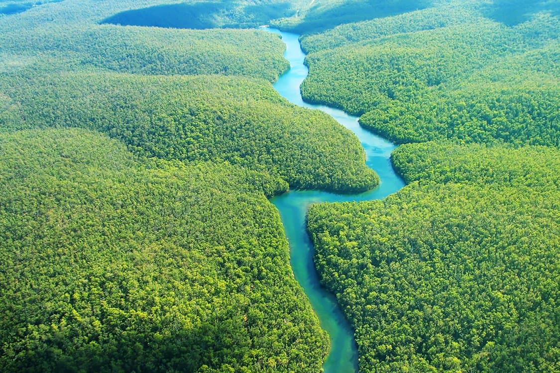TECNOLOGIA É O FOCO NA DISCUSSÃO SOBRE PRESERVAÇÃO FLORESTAL E REDUÇÃO DA DESIGUALDADE SOCIAL