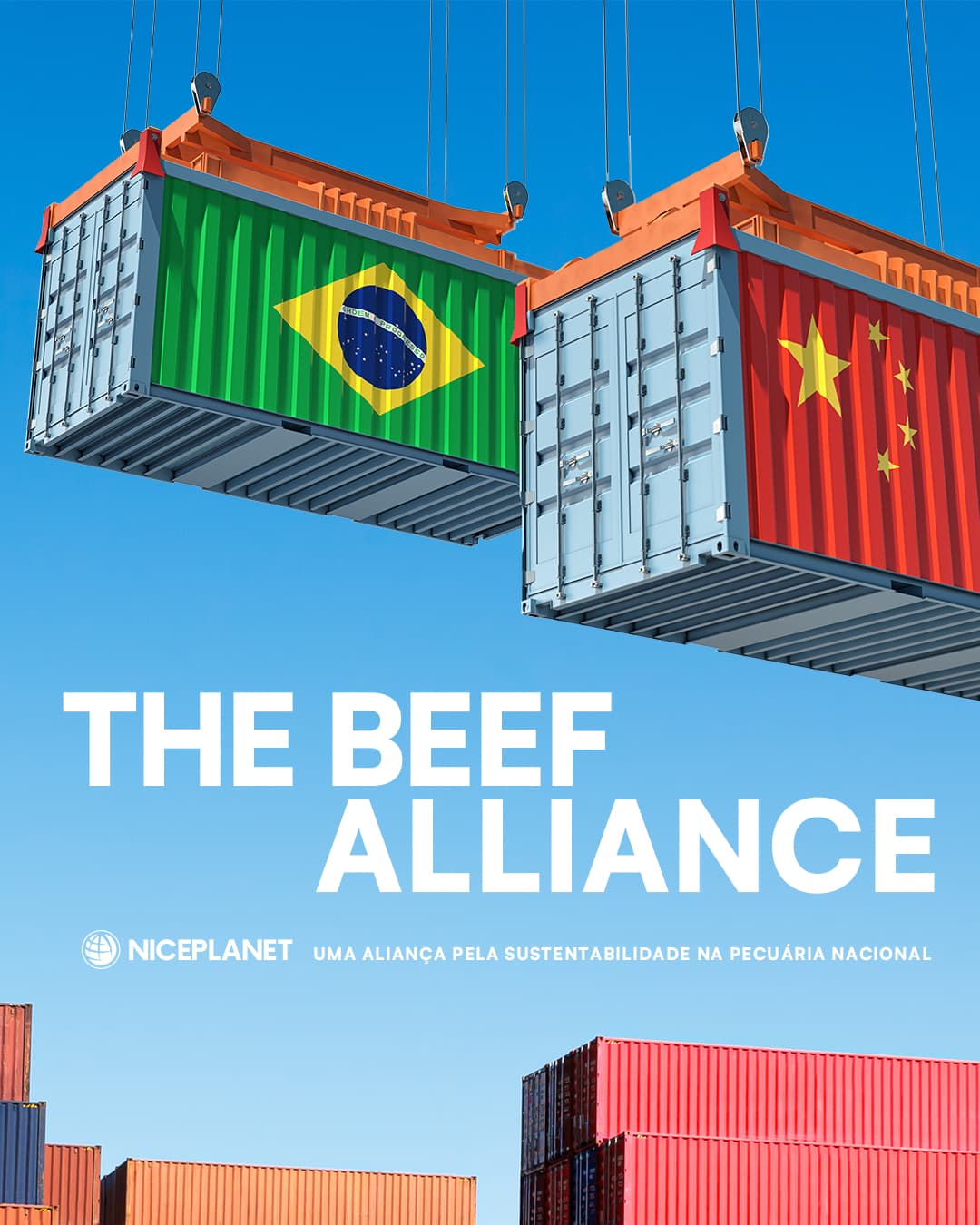 THE BEEF ALLIANCE