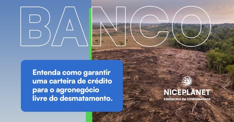 BANCOS DEVEM ELIMINAR OS RISCOS DE FINANCIAR O DESMATAMENTO