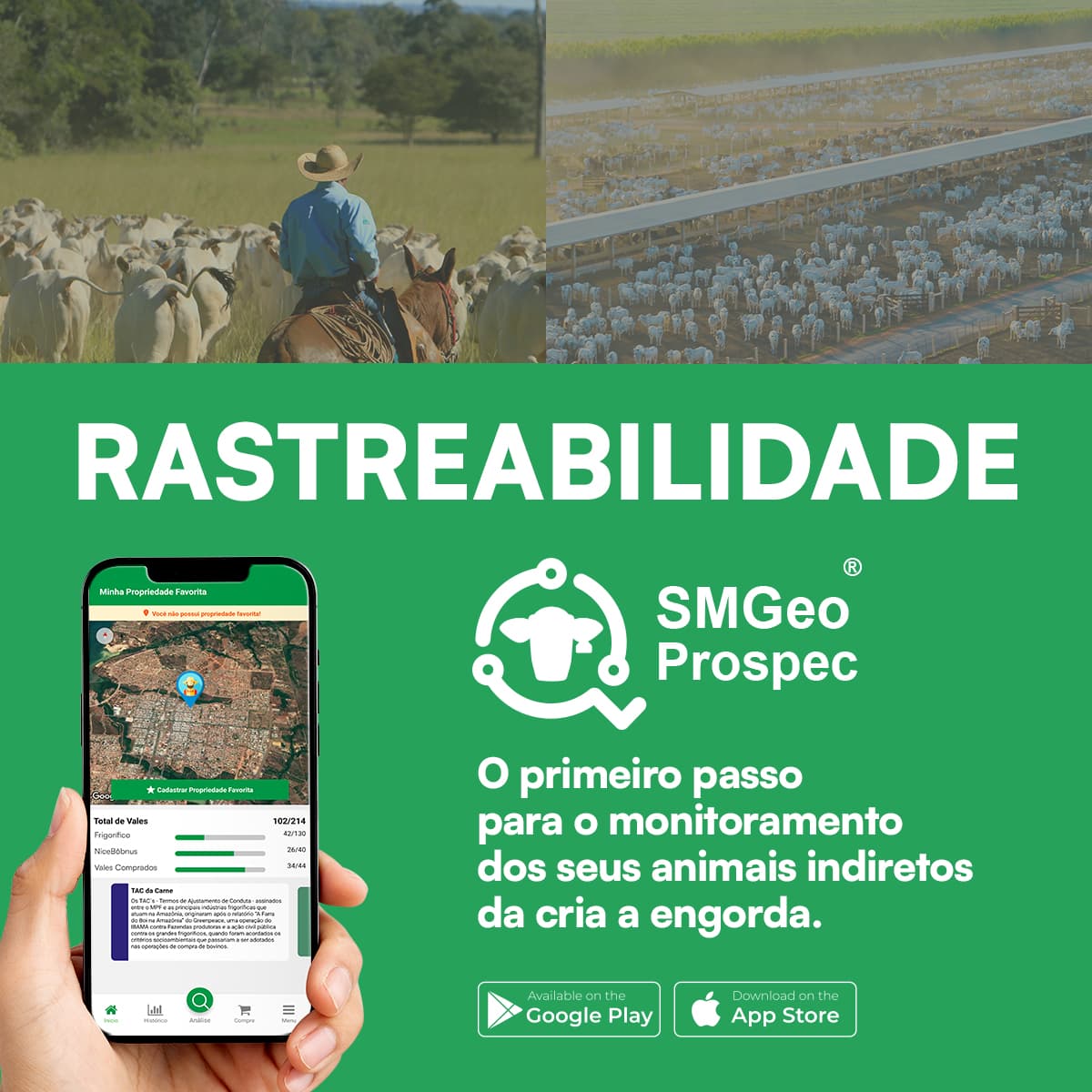 ANALISE E MONITORE INSTANTANEAMENTE SEUS FORNECEDORES INDIRETOS DE GADO PARA CRIA, RECRIA E ENGORDA.