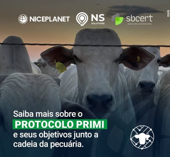 Saiba mais sobre o Protocolo PRIMI e seus objetivos junto a cadeia da pecuária.