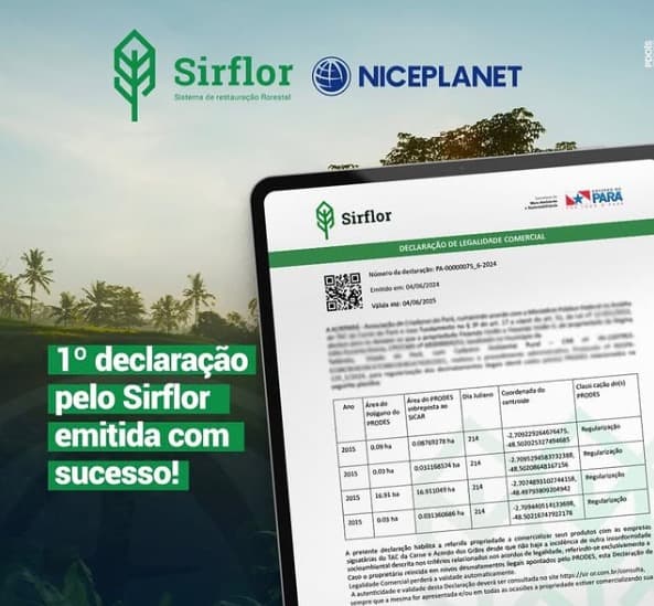 1° declaração pelo SIRFLOR emitida com sucesso!