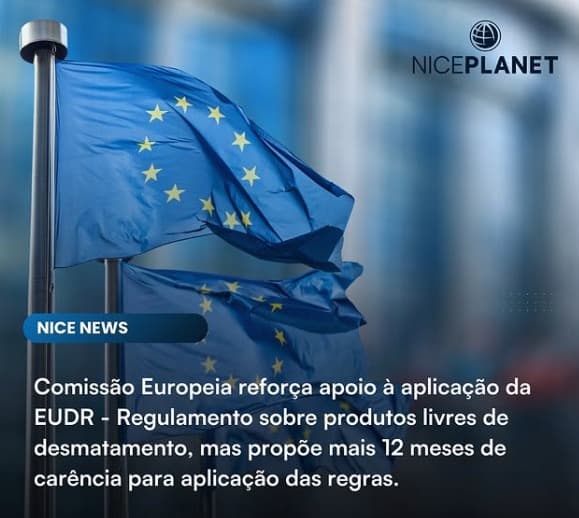 Comissão Europeia reforça apoio à aplicação da EUDR - Regulamento sobre produtos livres de desmatamento, mas propõe mais 12 meses de carência para aplicação das regras.