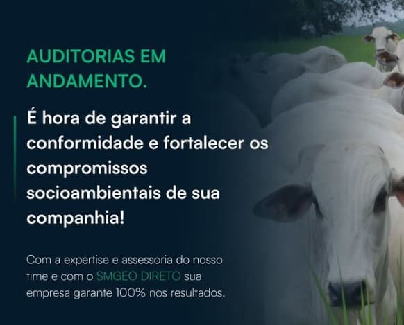 AUDITORIAS EM ANDAMENTO