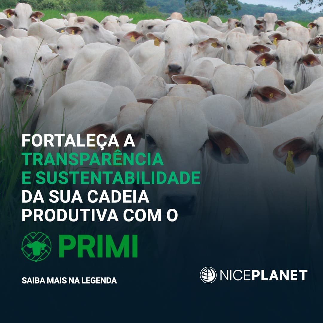 Fortaleça a transparência e sustentabilidade da sua cadeia produtiva com o PRIMI.