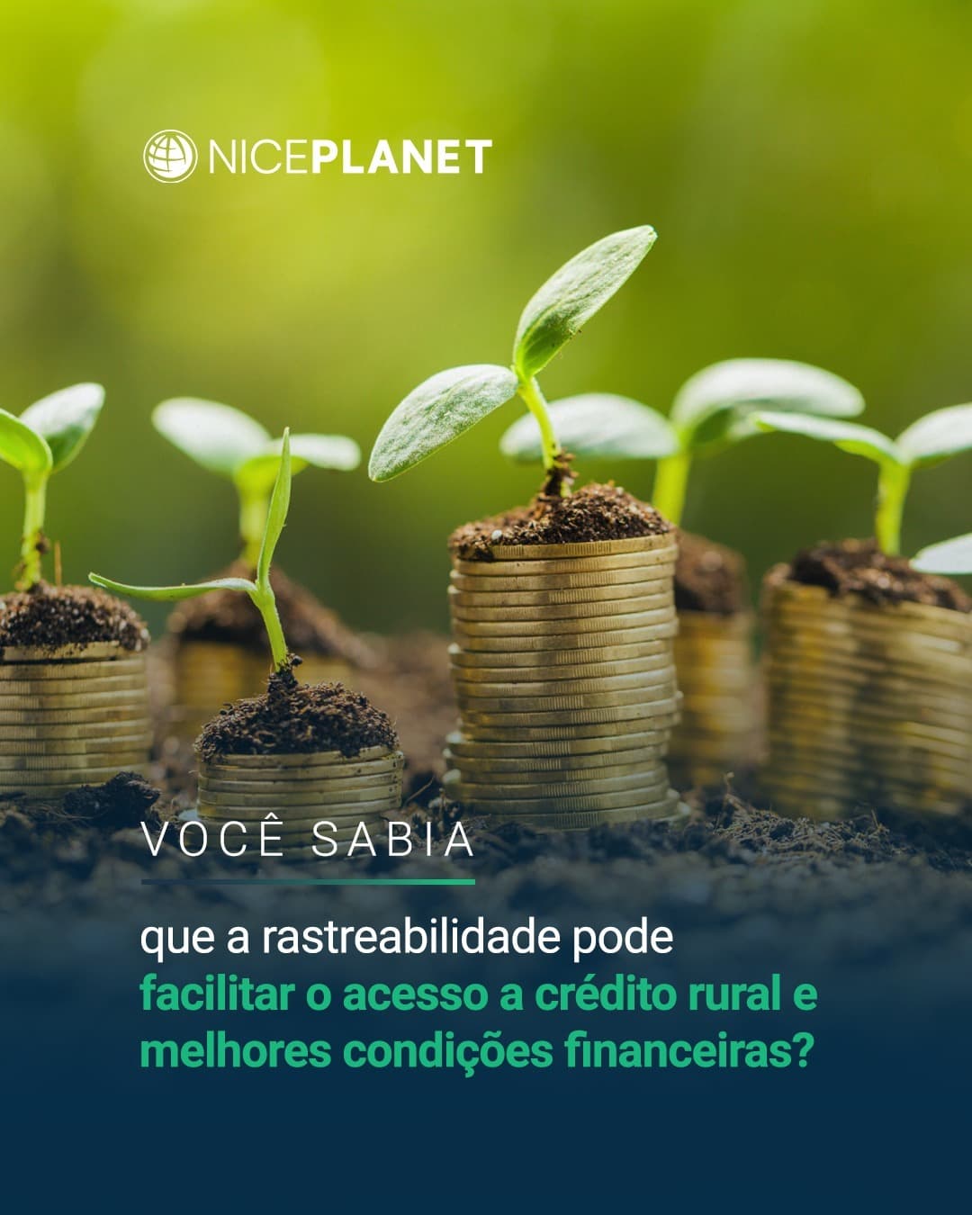 Você sabia que a rastreabilidade pode facilitar o acesso a crédito rural e melhores condições financeiras?