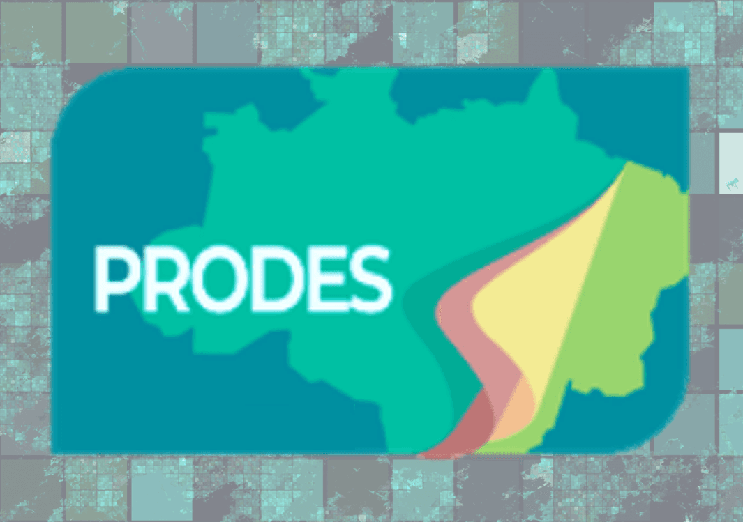 NOTA TÉCNICA - ESTIMATIVA PRODES 2020