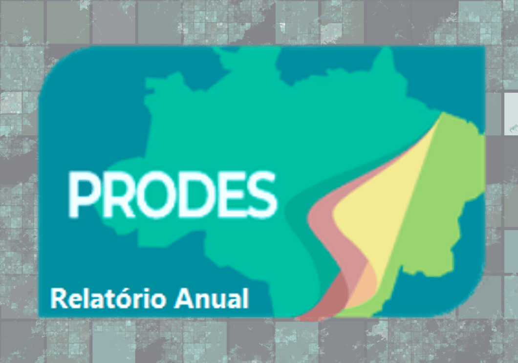 RELATÓRIO ANUAL - PRODES 2020