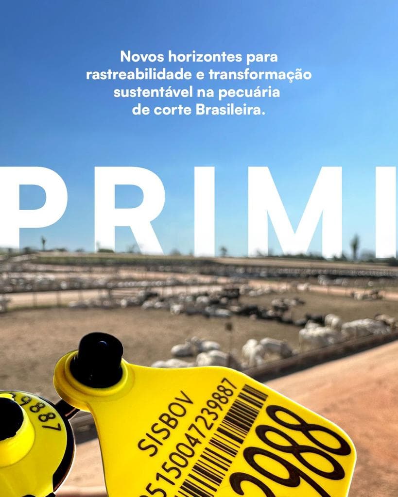 PRIMI: PROGRAMA DE RASTREABILIDADE INDIVIDUAL E MONITORAMENTO DE INDIRETOS
