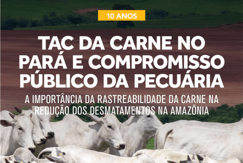 ESTUDO REVELA OS AVANÇOS DOS 10 ANOS DO TAC NA SUSTENTABILIDADE DA CARNE