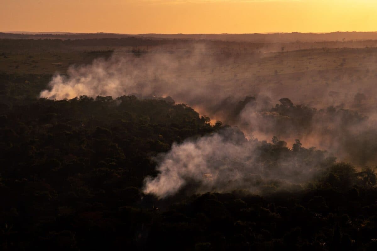 PPCDAM: NOVO PLANO CONTRA DESMATAMENTO TEM TECNOLOGIAS PARA PREVER DEVASTAÇÃO E BIOECONOMIA PARA DESENVOLVER AMAZÔNIA