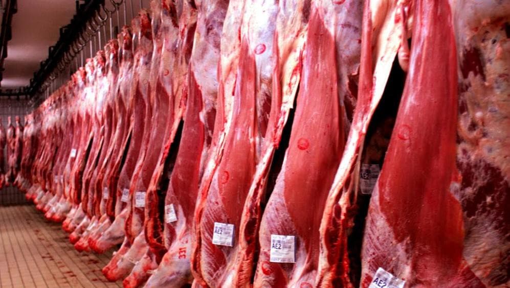 UM OLHAR SOBRE AS OPORTUNIDADES PARA EXPORTAÇÃO DE CARNE BOVINA BRASILEIRA